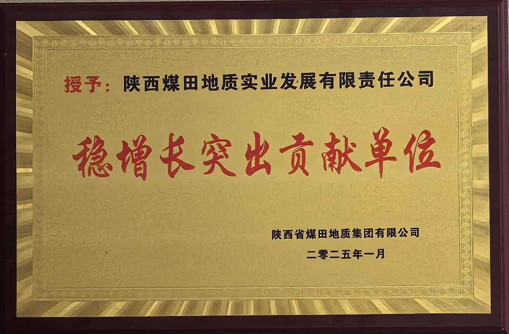 2024年度稳增长突出贡献单位.jpg